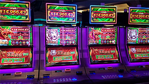 Wild Gruff Crossing Slots Machine